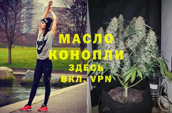 дживик Абинск