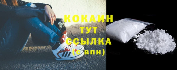 дмт Абаза