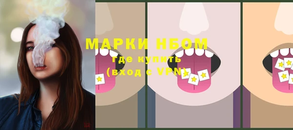 дурь Пестово