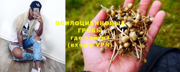 дживик Абинск
