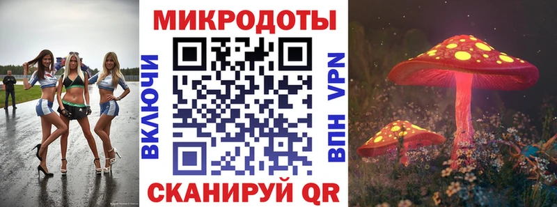 Псилоцибиновые грибы Magic Shrooms купить Торжок